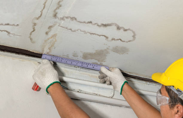 Reliable Mold Remediation contractor in North Andover, MA by Water Damage Irwin